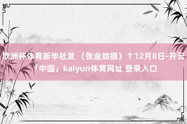 欧洲杯体育新华社发 （张金加摄）↑12月8日-开云「中国」kaiyun体育网址 登录入口