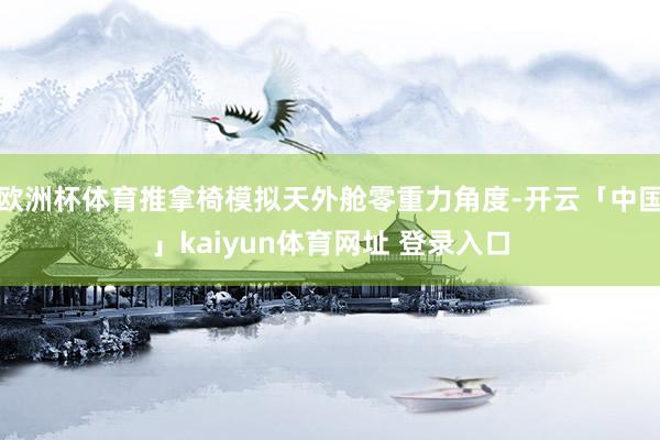 欧洲杯体育推拿椅模拟天外舱零重力角度-开云「中国」kaiyun体育网址 登录入口