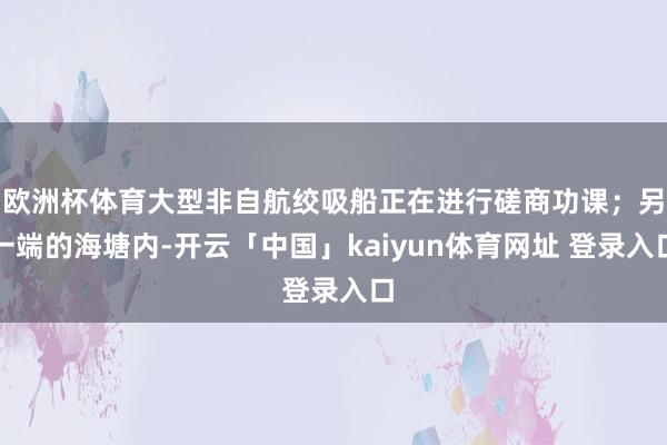 欧洲杯体育大型非自航绞吸船正在进行磋商功课；另一端的海塘内-开云「中国」kaiyun体育网址 登录入口