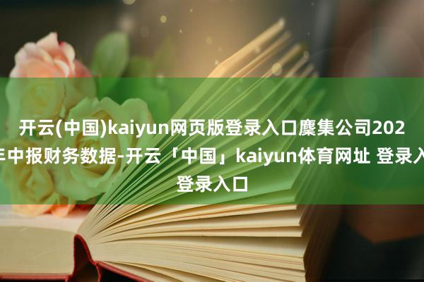 开云(中国)kaiyun网页版登录入口麇集公司2024年中报财务数据-开云「中国」kaiyun体育网址 登录入口