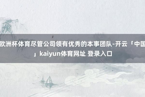 欧洲杯体育尽管公司领有优秀的本事团队-开云「中国」kaiyun体育网址 登录入口