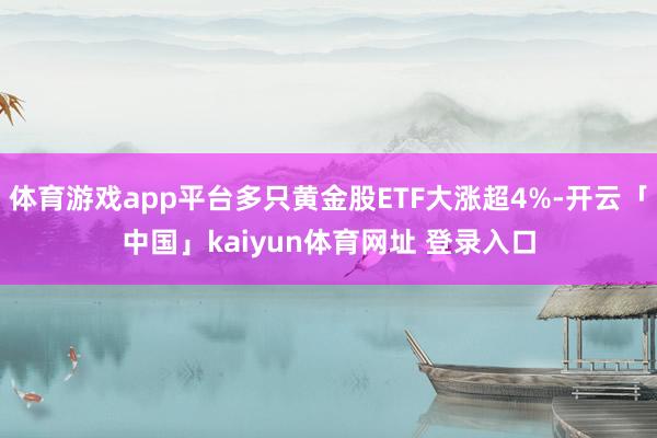 体育游戏app平台多只黄金股ETF大涨超4%-开云「中国」kaiyun体育网址 登录入口